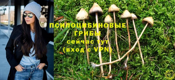 тгк Магас