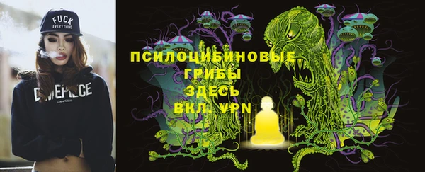 МДПВ Магадан